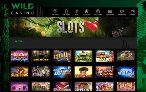 wild casino online.